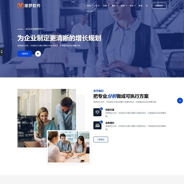 商业分析公司网站模板