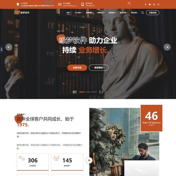 创意专家咨询营销解决问题网站模板