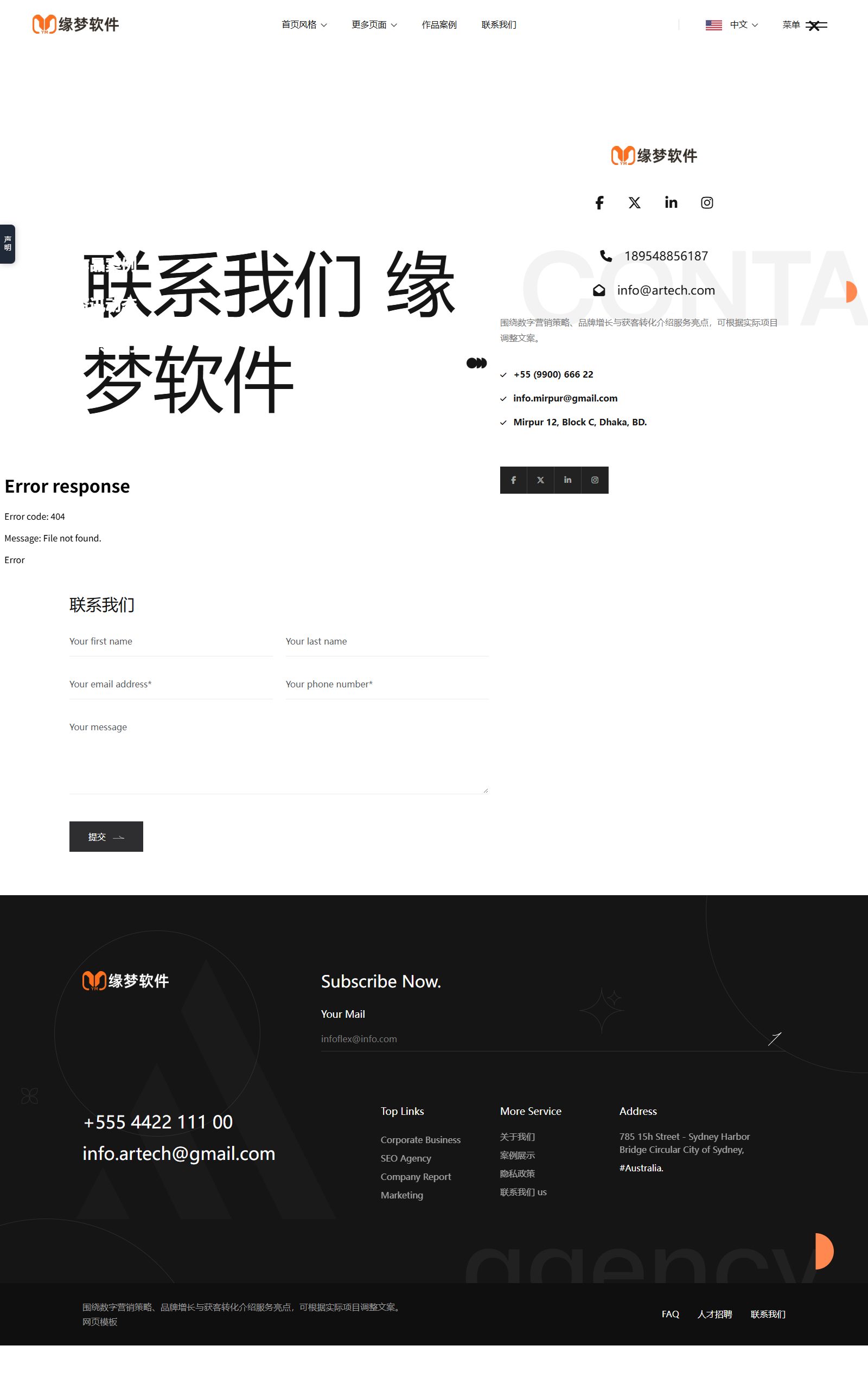 数字营销策略服务公司模板